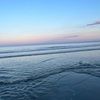 maddymiller0804